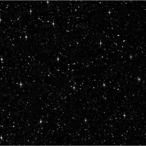 Meet your Posher, Ava